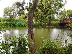 An image of Austin Colorado riverfrom our Album