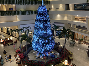 An image from the lobby - the Christmas tree