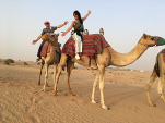 A photo from the camel safari..