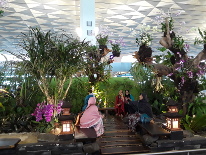 Botanic garden inside Jakarta International airport.