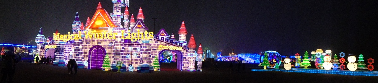 Winter magic lights Houston