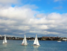 Sailing boats around the Boston harbor.