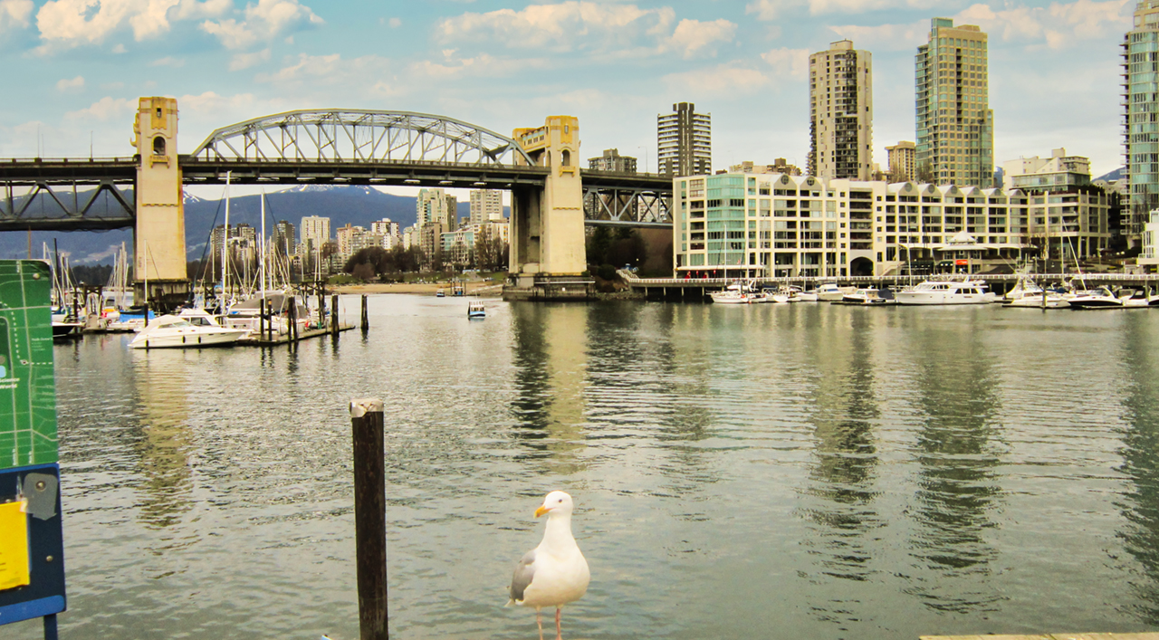 The image of the the Coal Harbour