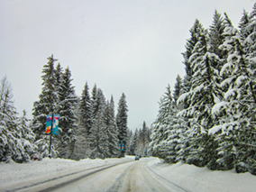 Image of the road covered by snow on the way to Whistler