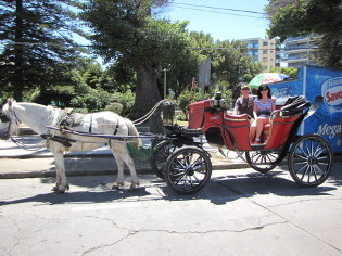 The carriage ride