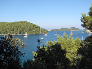 Island Mljet, National park with private boats.
