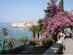 Picture of Dubrovnik from Ploce