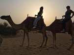 A photo of the camel safari at the Dubai desert sunset.