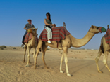 Images from Dubai desert tour