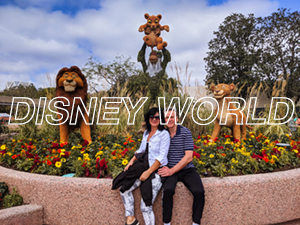 Disney World site