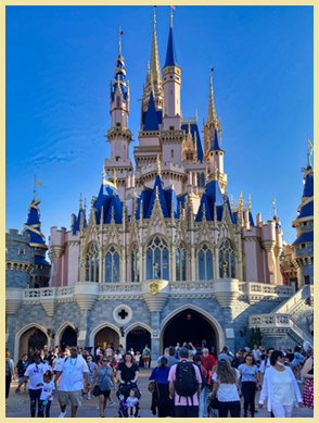 An image from Magic Kingdom - Disney World