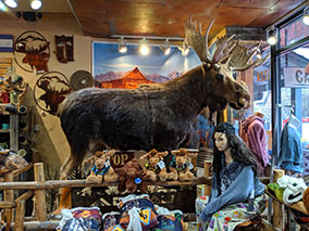 The image from the suvenir store with Wyoming details