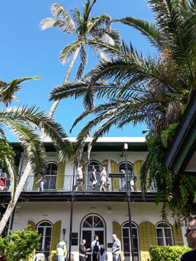 An image from Key West from our albums