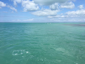 An image from Key West from our albums