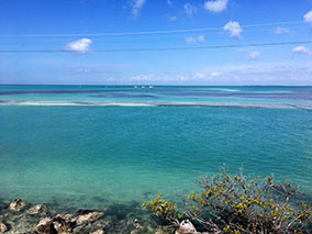 An image from Key West from our albums