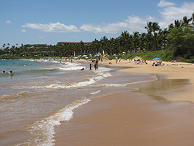 An image from Maui beach