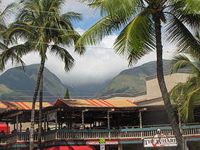 An image from Lahaina Maui