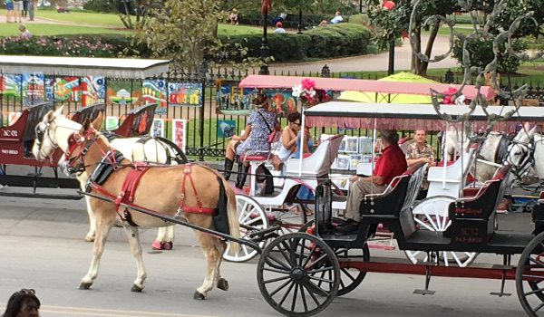 New Orleans carriage