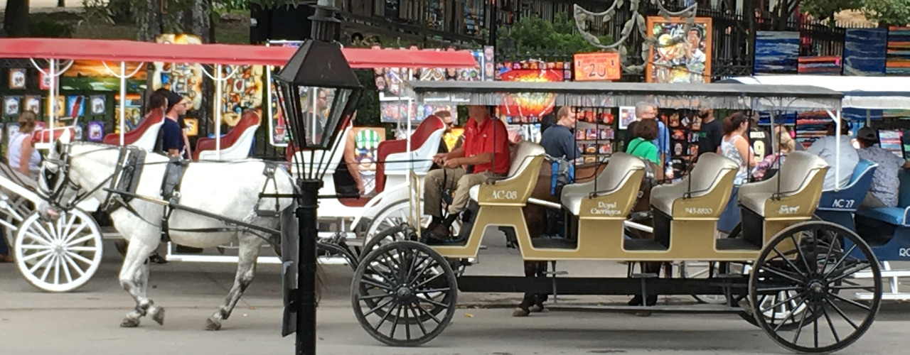 An image of carriage in New Orleans