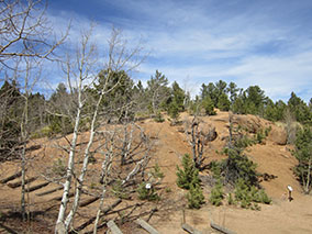 An image from our trip to the top of Pikes Peak