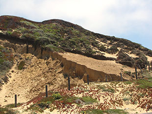 The image of the mountain side landscape along the route 1 road.