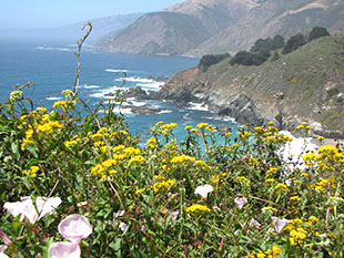 Beach and terrain image from California route 1