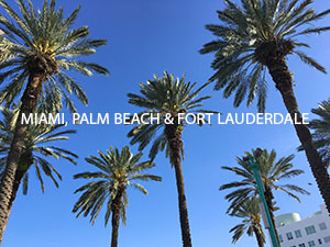 South Florida: Miami, Palm Beach & Fort Lauderdale site