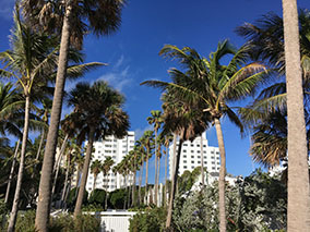 An image from Miami from our album