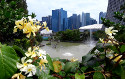 An image from Gardens by the Bay to the Business Centre.