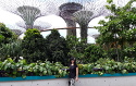 An image from Gardens by the Bay. 
