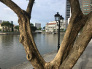 Images from the Singapore river walk.