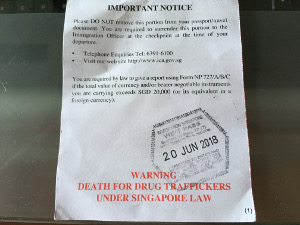 The back side of the Singapore imigration form with the warning
