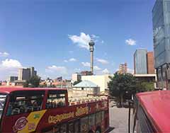 Sightseeing: Bus and minibus tours of Johannesburg, Soweto, Gold Reef City, and area parks are available 