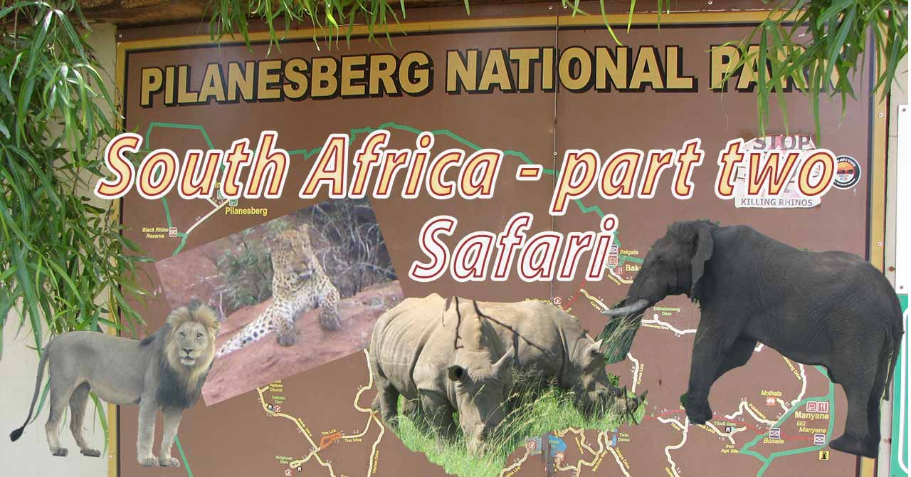 Image of Plilanesberg National park plan with big four: Lion, Leopard, Rhino and Elephant
