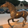 The horse statue at the Oasis on lake Travis