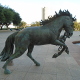 Horses - details from Dallas.