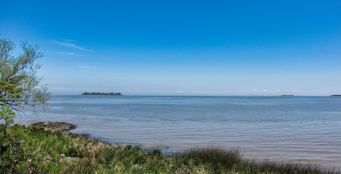 An image of the river from the side of Colon