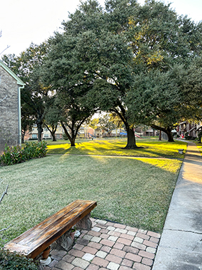 An image from the Victorian Village 1, Houston