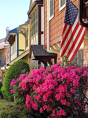 An image from the Victorian Village 1, Houston