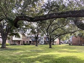 An image from the Victorian Village 1, Houston