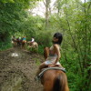 One hour horseback riding through the forest