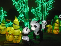 Panda's world in Houston Magical lights.