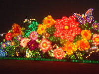 Houston Magical lights: Beautiful flowers 