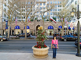 An image from Rodeo Drive in Los Angeles