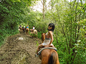 An image from horseback riding