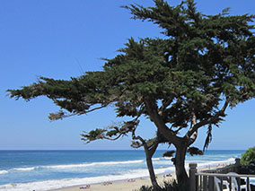 An image from Carlsbad beach