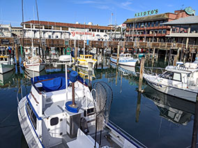 Image from Pier 39, San Francisco.